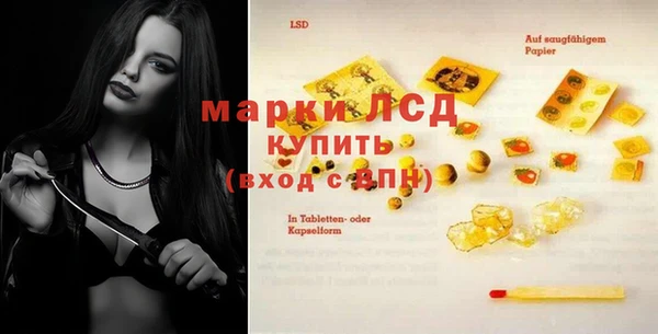 сатива Новодвинск