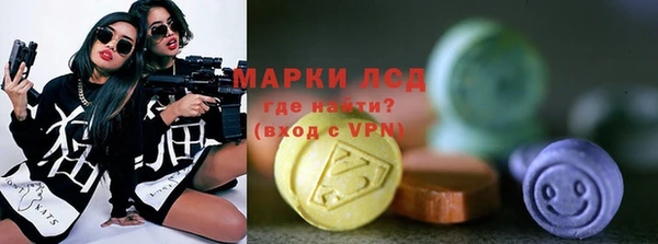 сатива Новодвинск