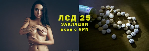 сатива Новодвинск