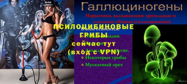 сатива Новодвинск