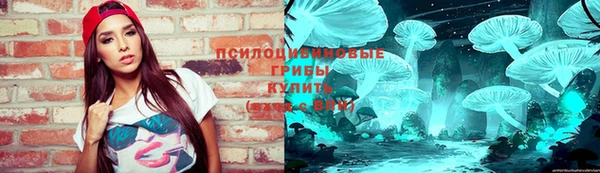 соль курить ск Новозыбков