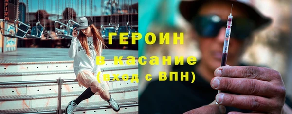 сатива Новодвинск