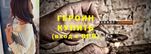 сатива Новодвинск
