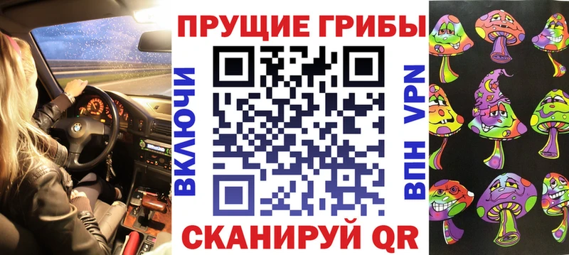 Галлюциногенные грибы Psilocybine cubensis Тбилисская